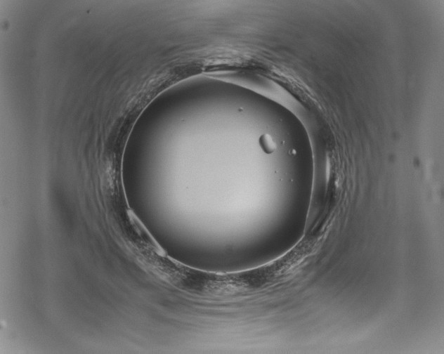 X0000069390597200605121213