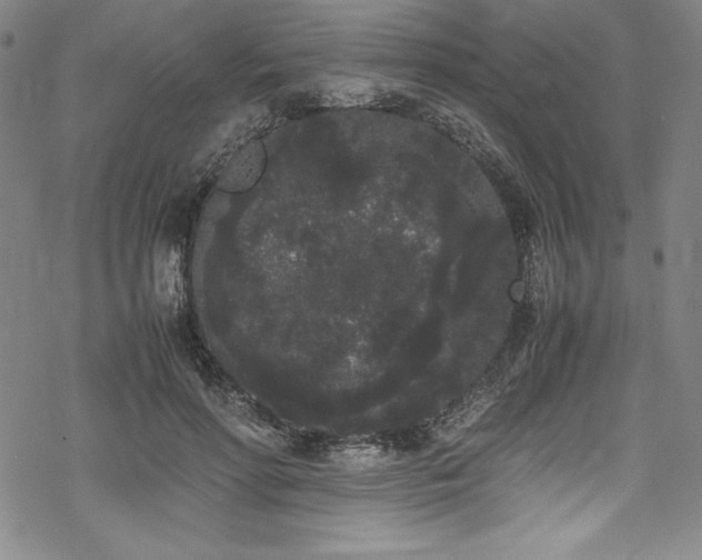 X0000069390598200605121213