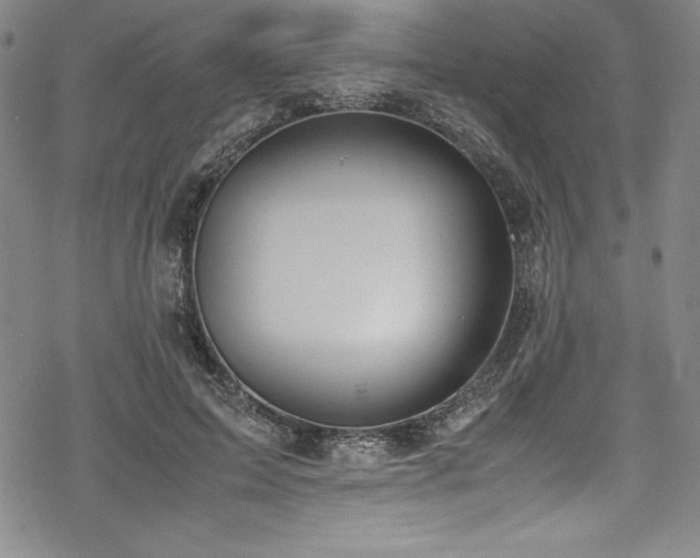 X0000069390599200605121213