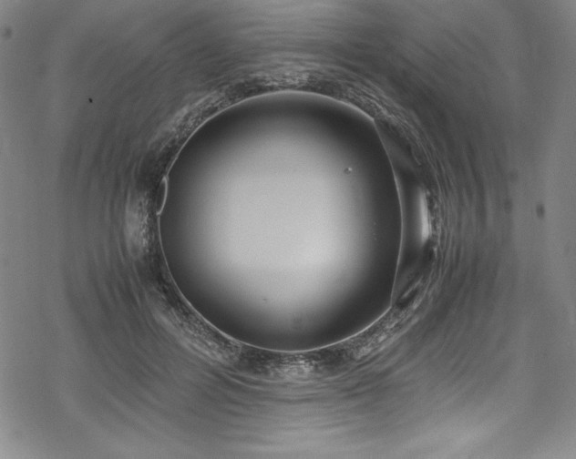 X0000069390600200605121213