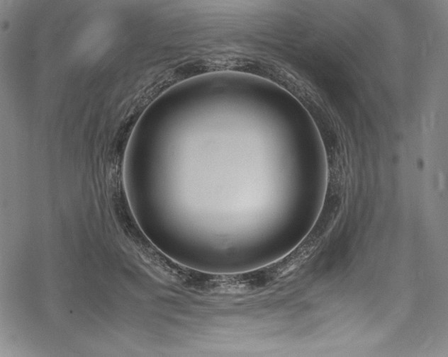 X0000069390601200605121213