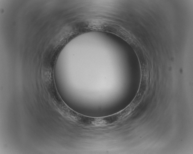 X0000069390603200605121213