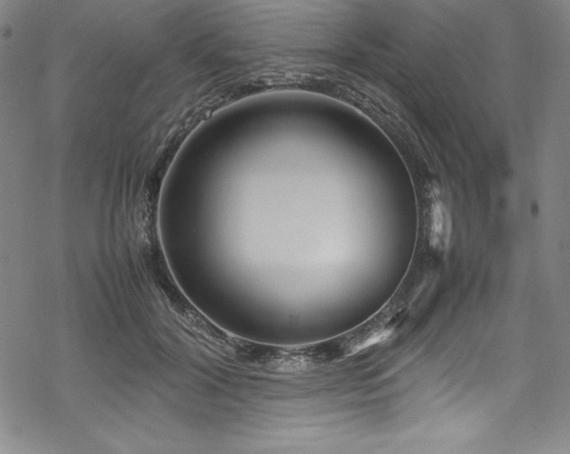 X0000069390604200605121213