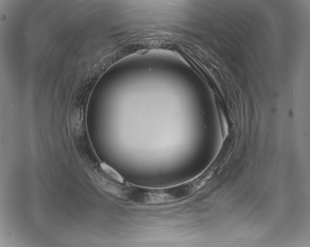 X0000069390605200605121213