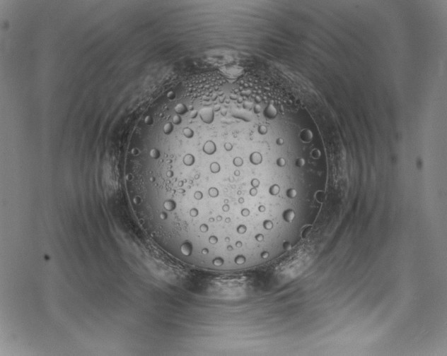 X0000069390606200605121213