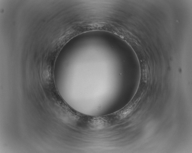 X0000069390608200605121213