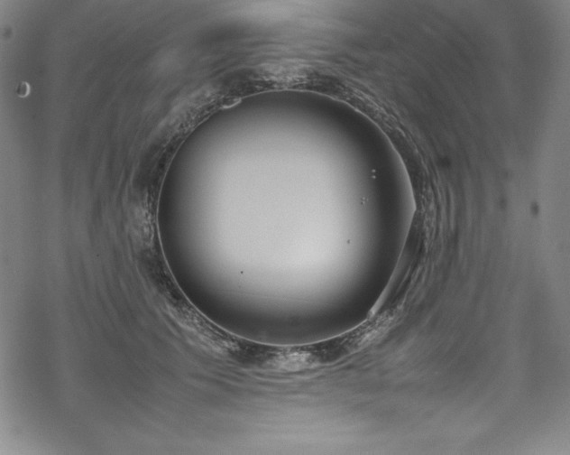 X0000069390609200605121213