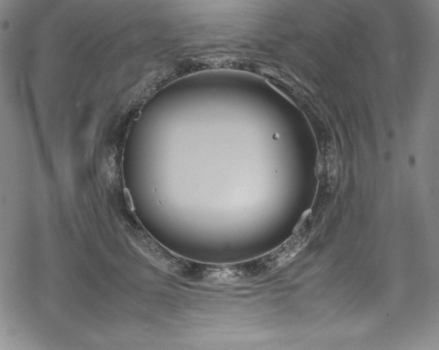 X0000069390611200605121213