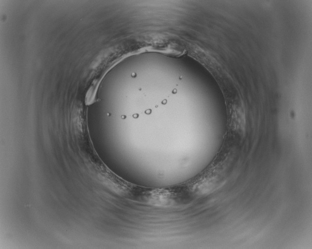 X0000069390612200605121213