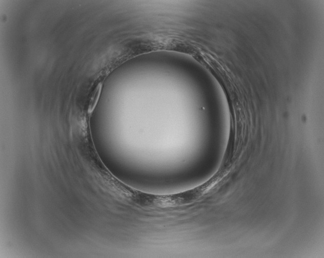 X0000069390613200605121213