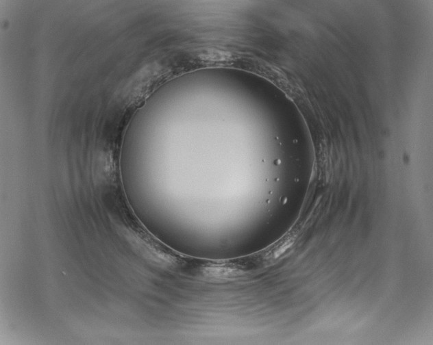 X0000069390614200605121213