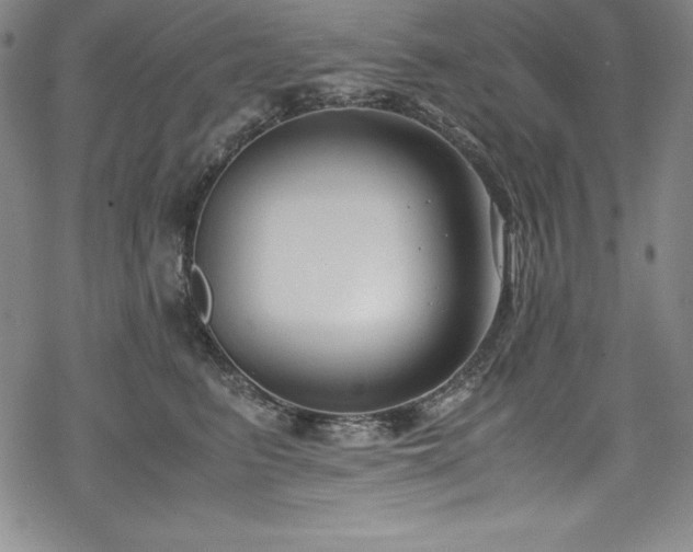 X0000069390615200605121213