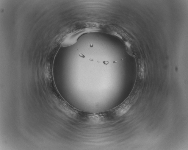 X0000069390616200605121213