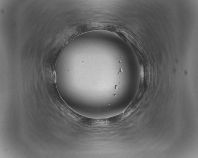 X0000069390617200605121213