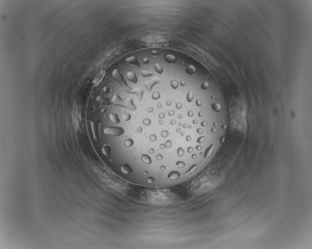 X0000069390618200605121213