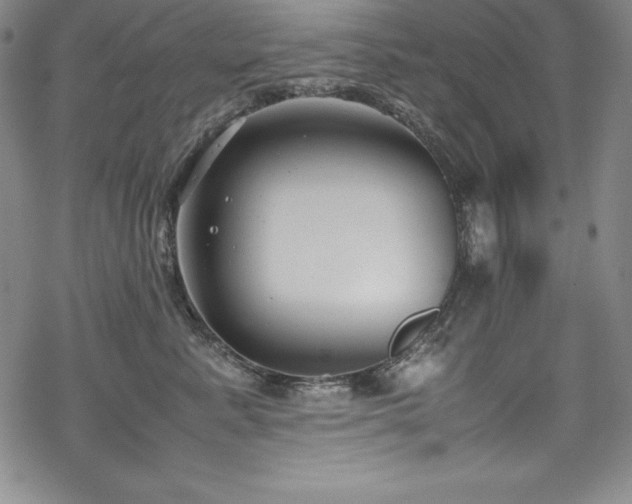 X0000069390619200605121213