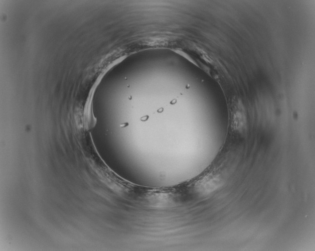 X0000069390620200605121213