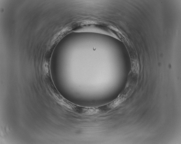 X0000069390621200605121213