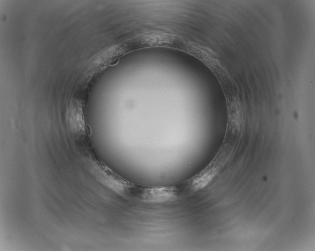 X0000069390622200605121213