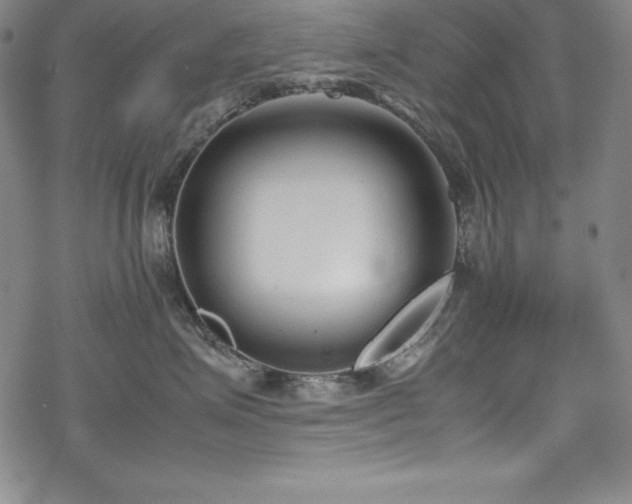 X0000069390623200605121213