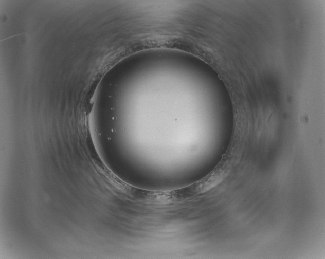 X0000069390624200605121213