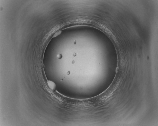 X0000069390625200605121212