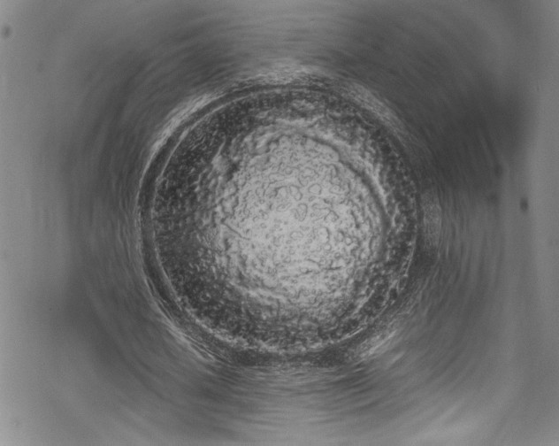 X0000069390626200605121212