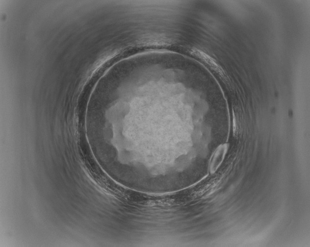 X0000069390627200605121212