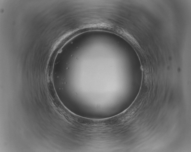 X0000069390628200605121212