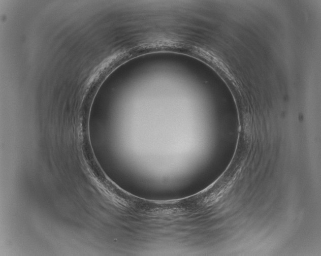 X0000069390629200605121212