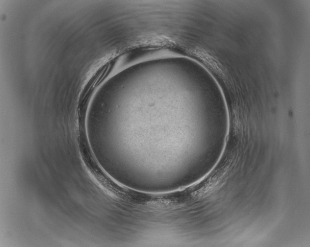 X0000069390630200605121212