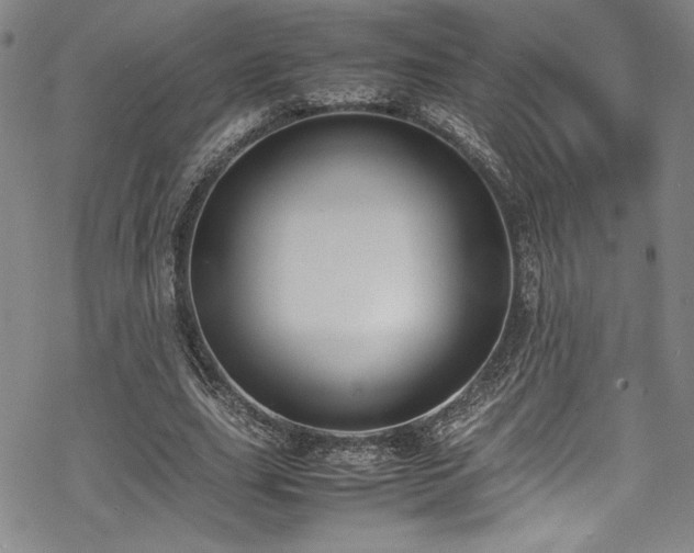 X0000069390631200605121212