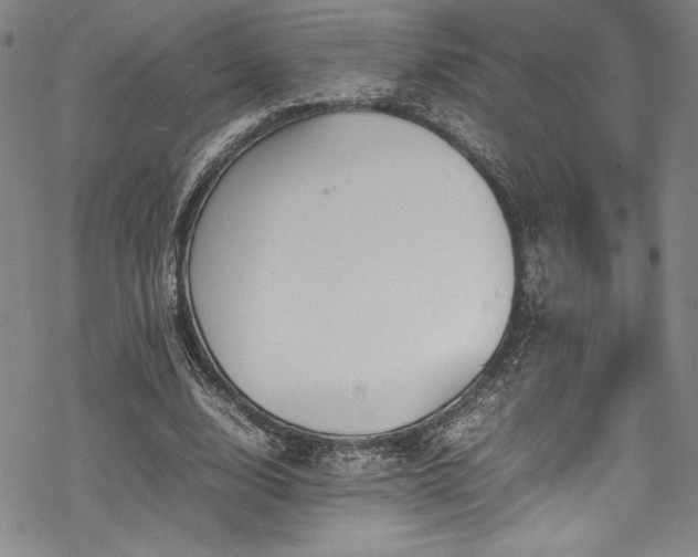 X0000069390632200605121212