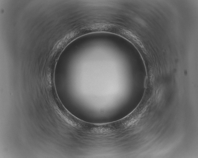 X0000069390633200605121212