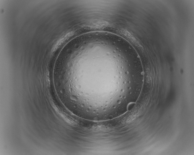 X0000069390634200605121212