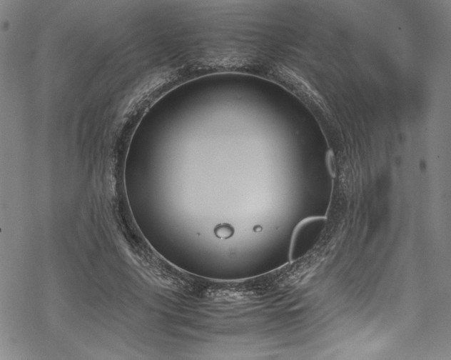 X0000069390635200605121212