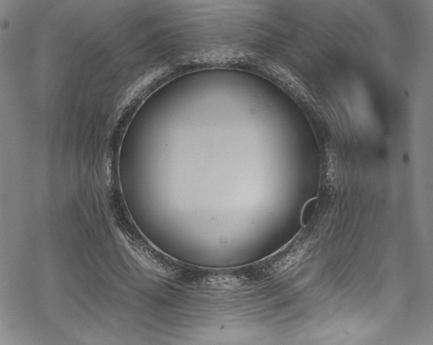 X0000069390636200605121212