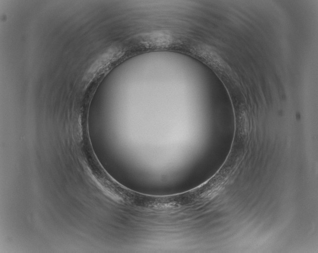 X0000069390638200605121212