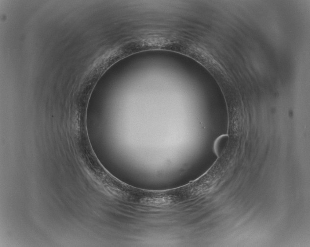 X0000069390639200605121212