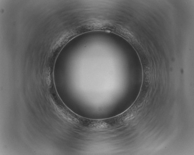 X0000069390642200605121212