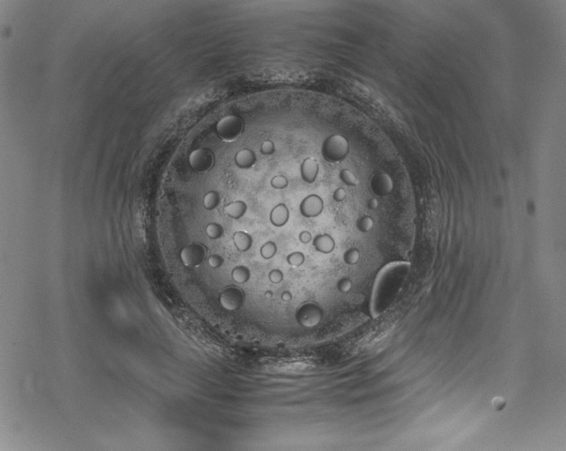 X0000069390643200605121212