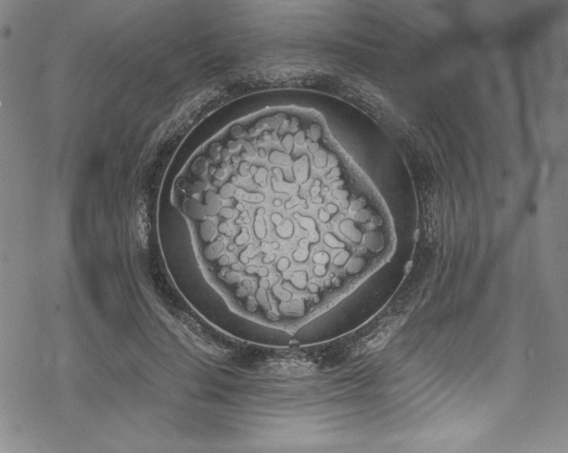 X0000069390644200605121212