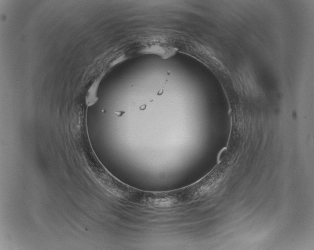 X0000069390645200605121212