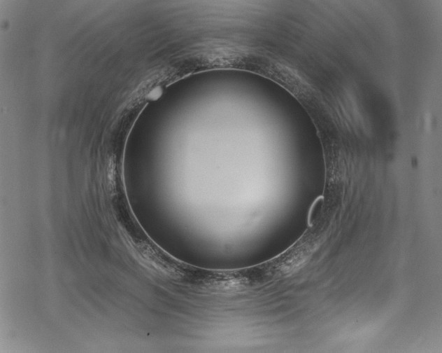 X0000069390646200605121212