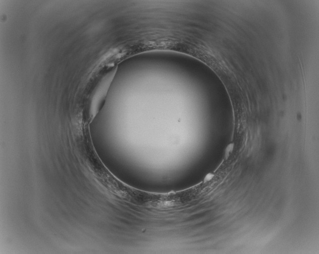 X0000069390647200605121212