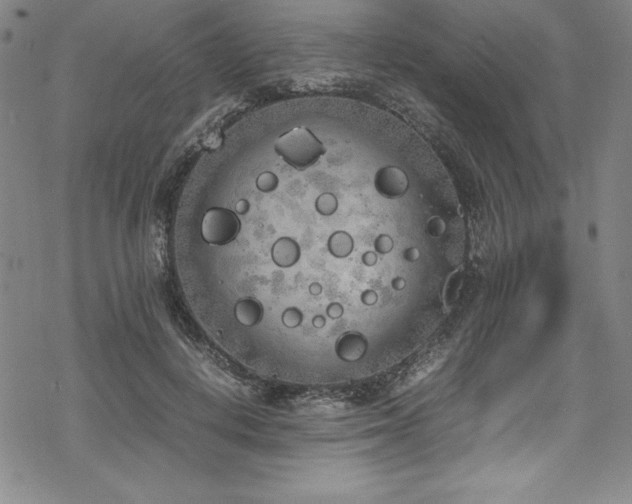 X0000069390648200605121212