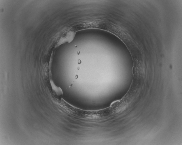 X0000069390649200605121212