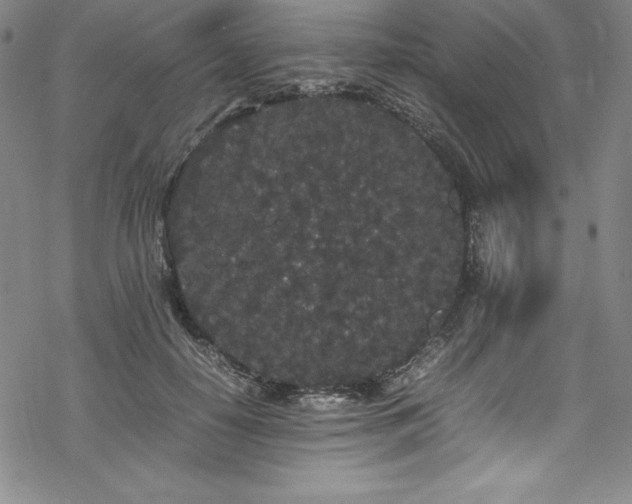 X0000069390650200605121212