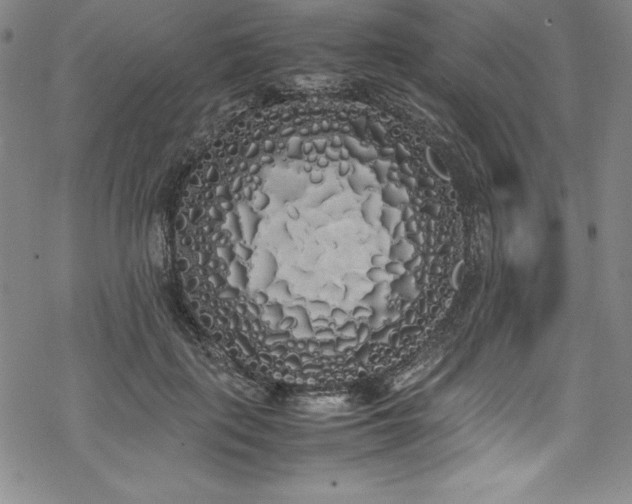 X0000069390651200605121212