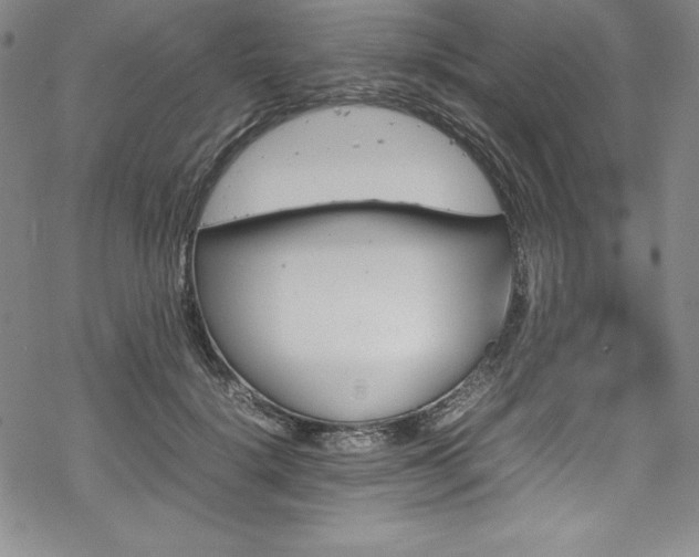 X0000069390652200605121212